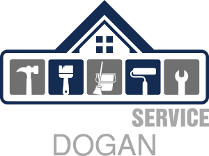 logo-hsd